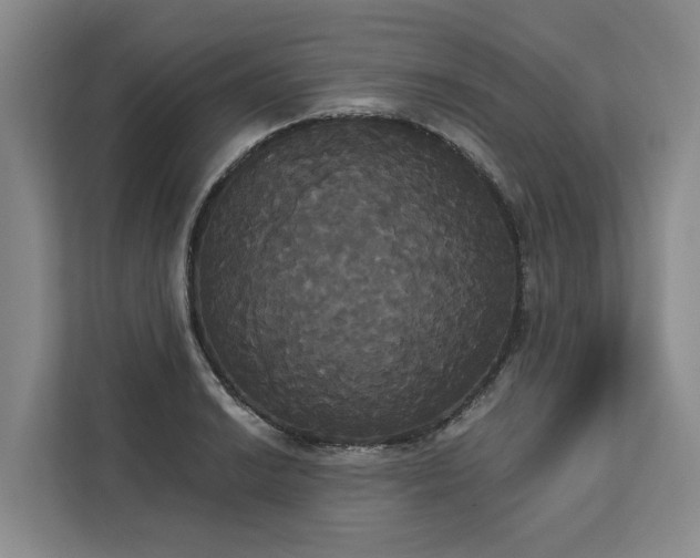 X0000113061038200908281130