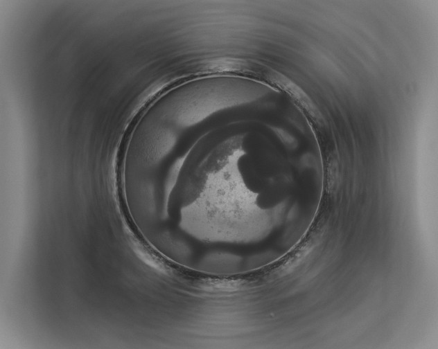 X0000113061039200908281130