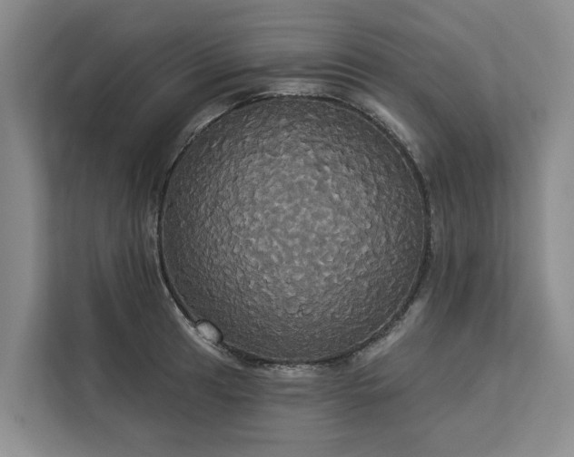 X0000113061041200908281130