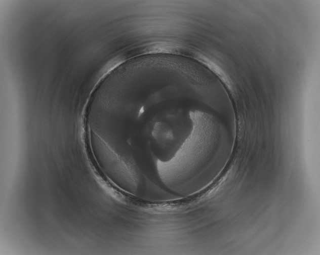 X0000113061042200908281130
