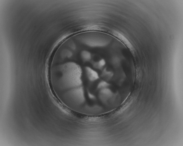 X0000113061043200908281130