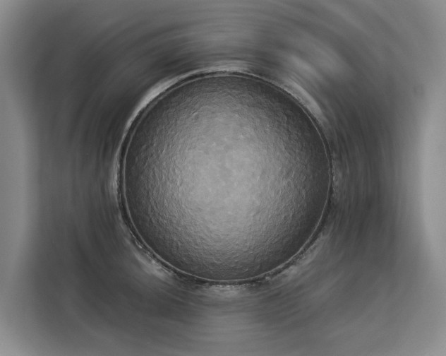 X0000113061044200908281130