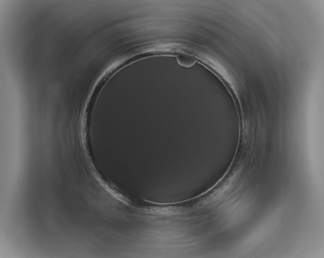 X0000113061045200908281130