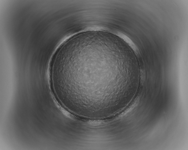 X0000113061046200908281130