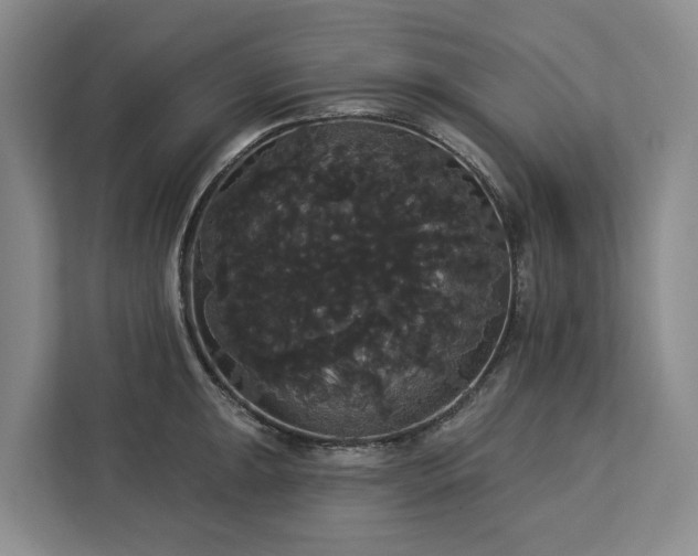 X0000113061047200908281130