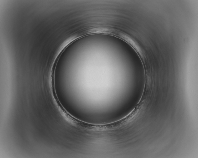 X0000113061050200908281130
