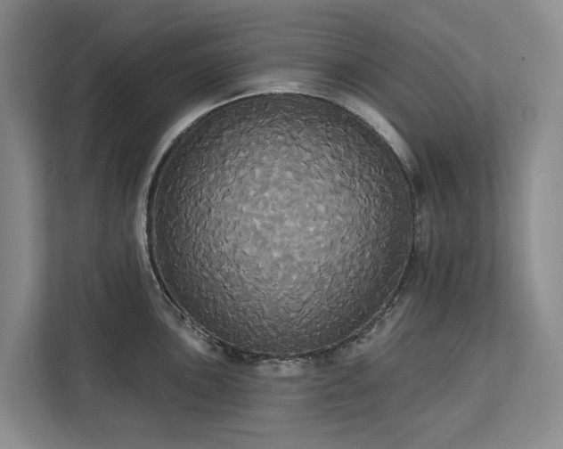 X0000113061051200908281130
