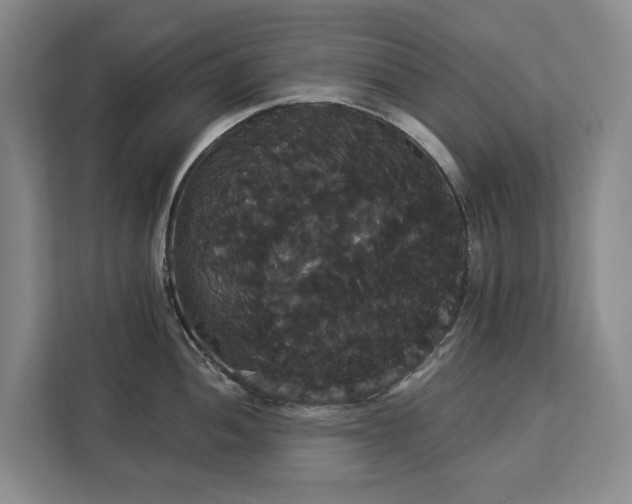 X0000113061052200908281130