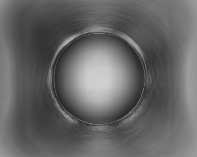 X0000113061053200908281130