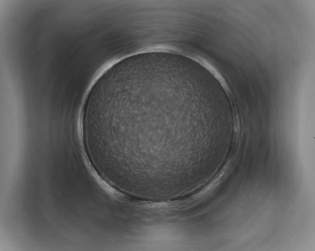 X0000113061054200908281130