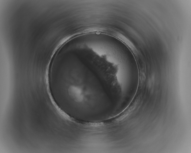 X0000113061055200908281130
