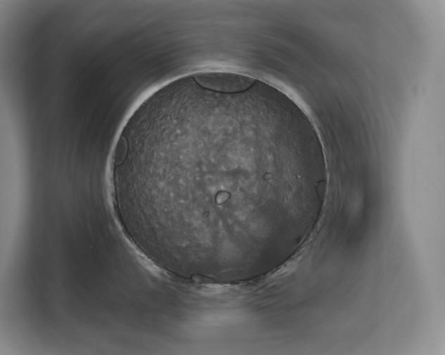 X0000113061056200908281130