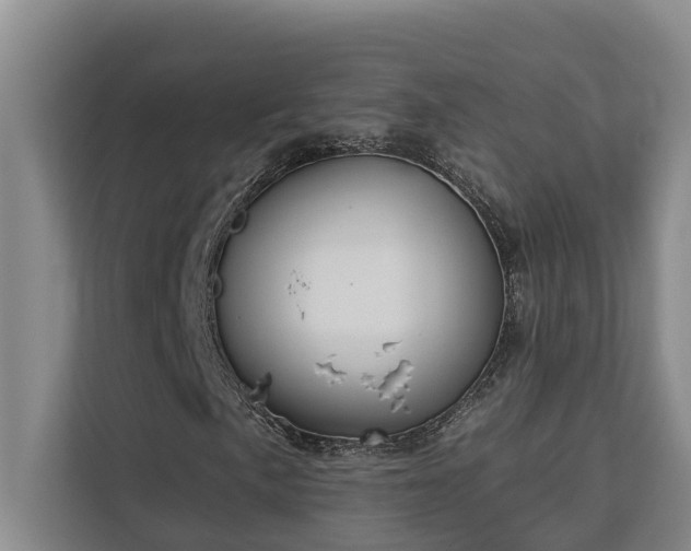 X0000113061057200908281130