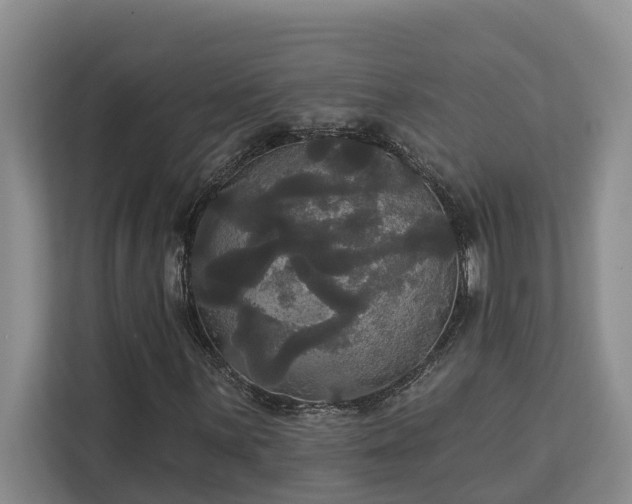X0000113061059200908281130