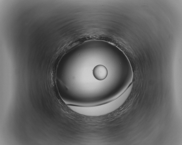 X0000113061060200908281130