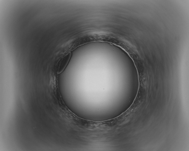 X0000113061061200908281130