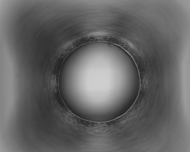 X0000113061062200908281130