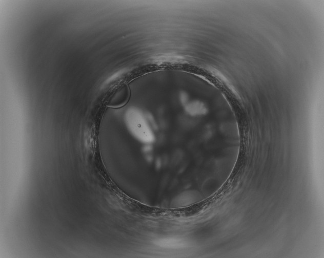 X0000113061063200908281130