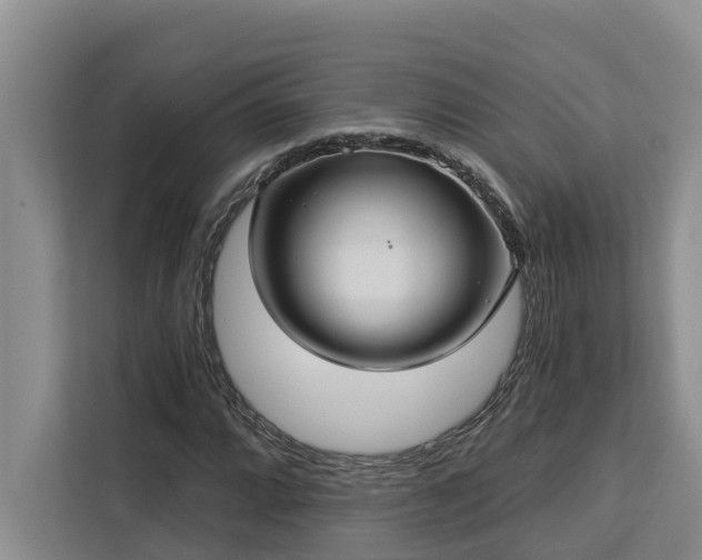 X0000113061064200908281130