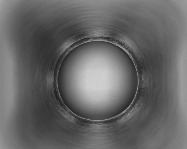 X0000113061065200908281130