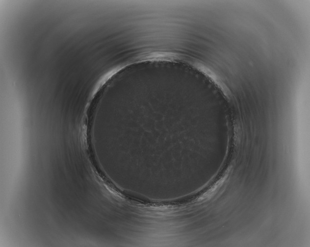 X0000113061066200908281130