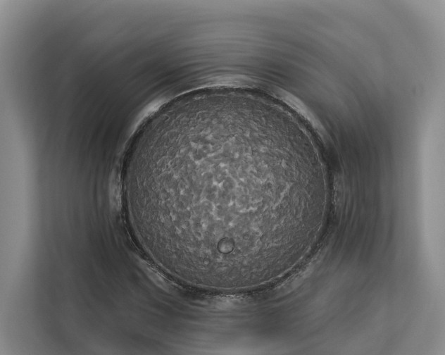 X0000113061067200908281130