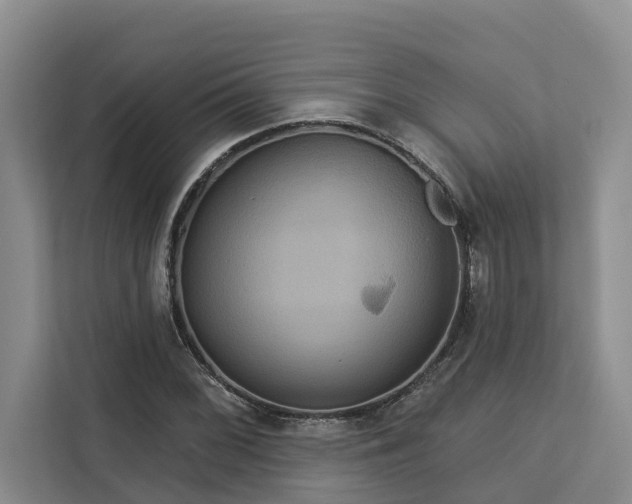 X0000113061068200908281129
