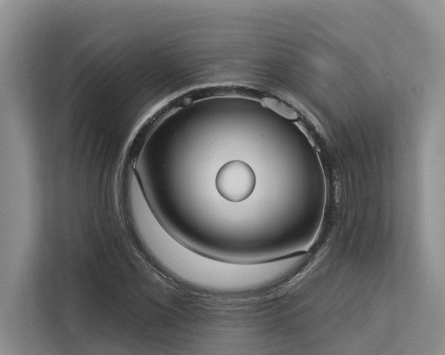 X0000113061069200908281129