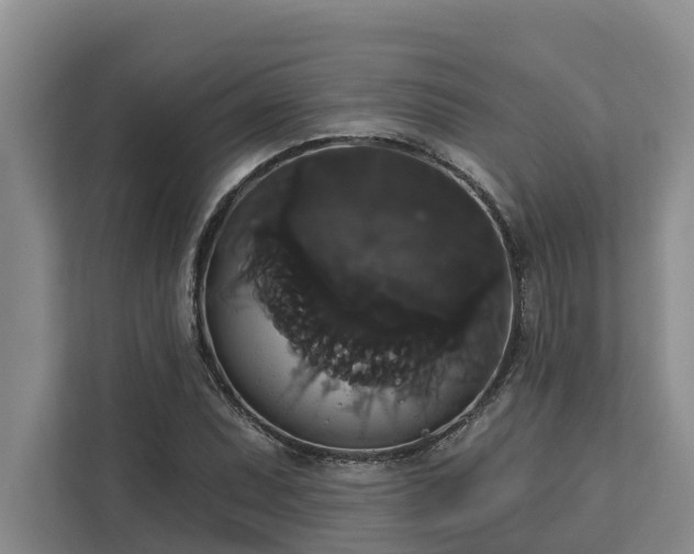 X0000113061071200908281129