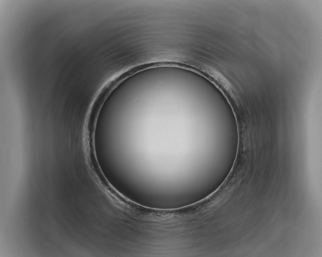 X0000113061072200908281129