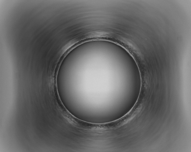 X0000113061073200908281129