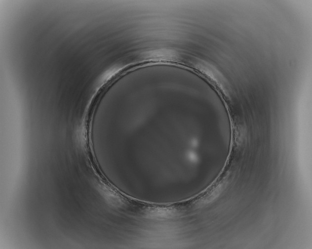 X0000113061074200908281129