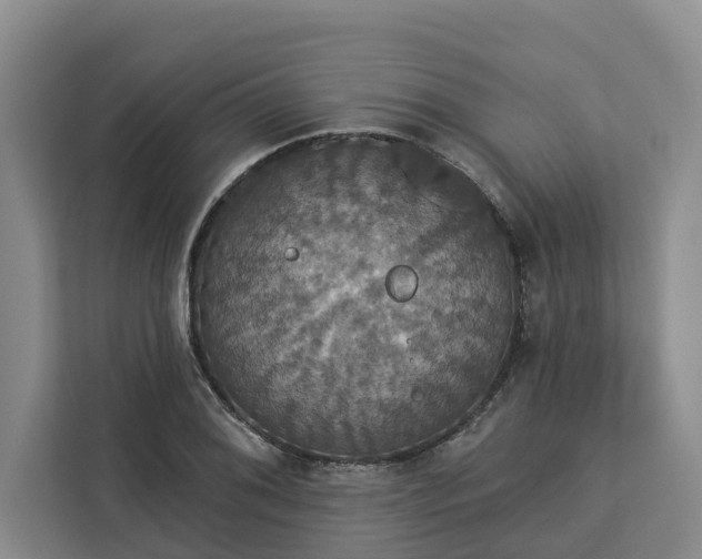 X0000113061076200908281129