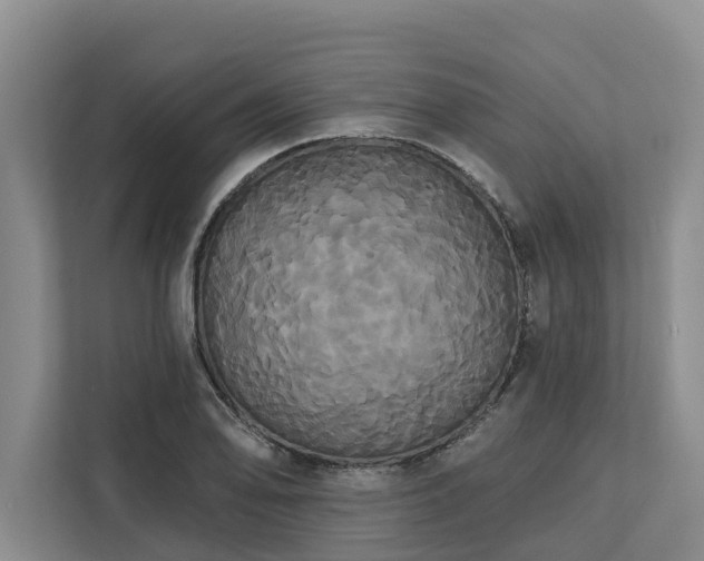 X0000113061078200908281129