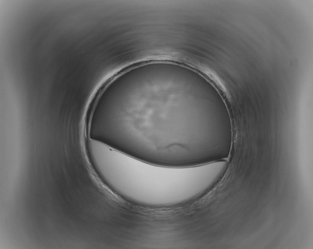 X0000113061080200908281129