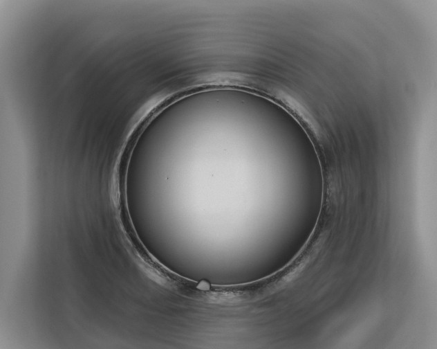 X0000113061082200908281129