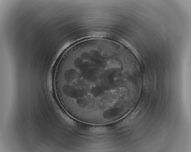 X0000113061083200908281129