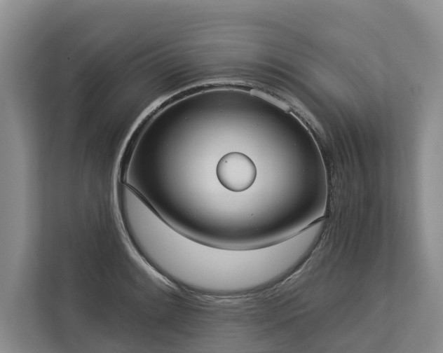 X0000113061084200908281129