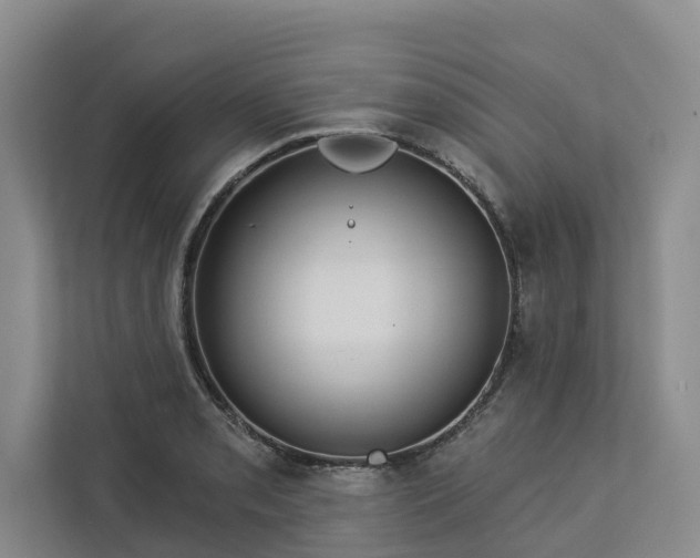 X0000113061085200908281129