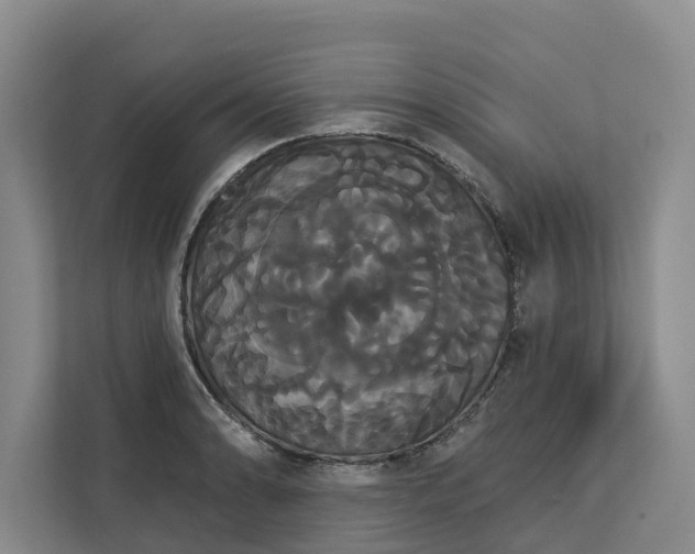 X0000113061086200908281129