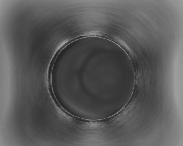 X0000113061087200908281129