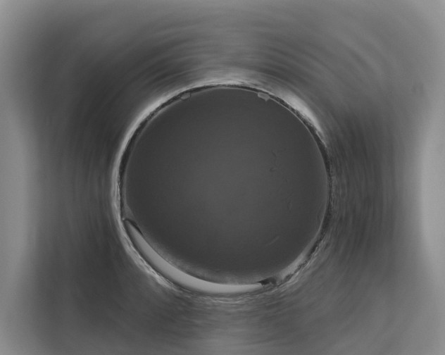 X0000113061088200908281129