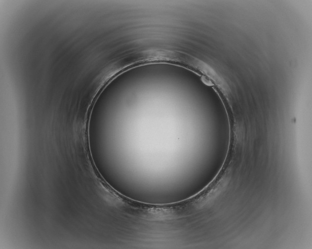 X0000113061089200908281129