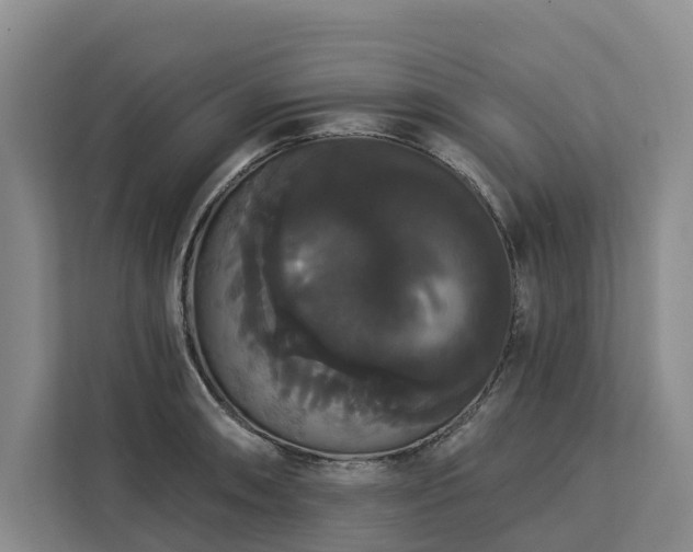 X0000113061090200908281129