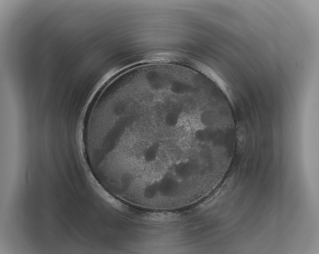 X0000113061091200908281129