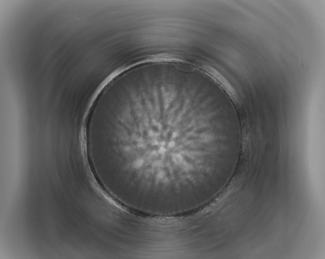X0000113061092200908281129
