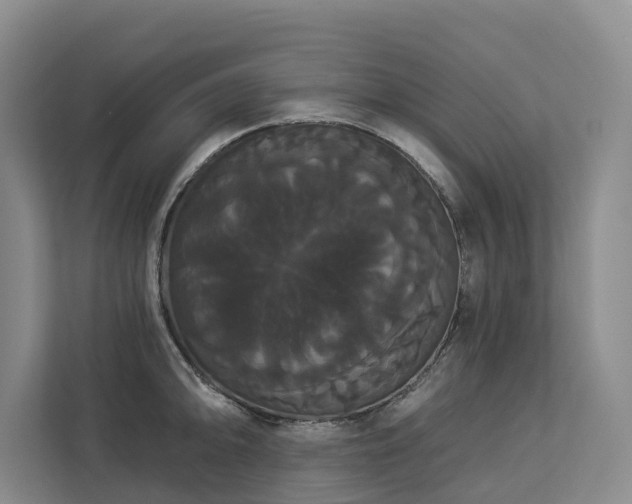 X0000113061094200908281129