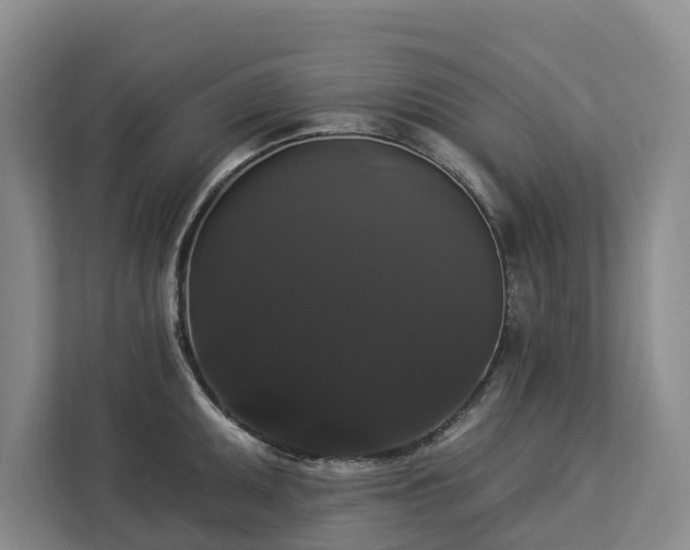 X0000113061095200908281129