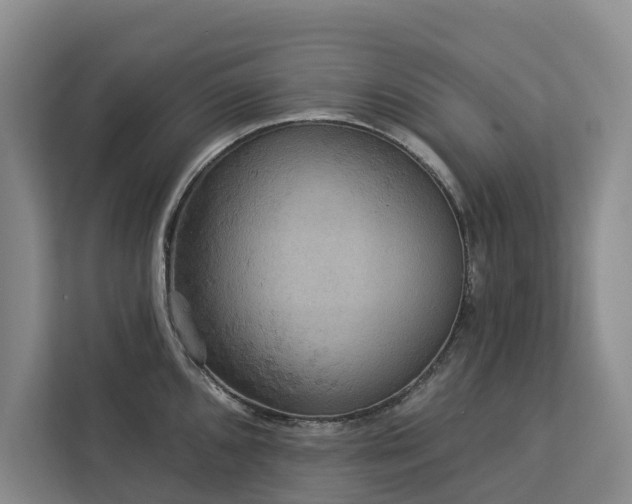 X0000113061096200908281129