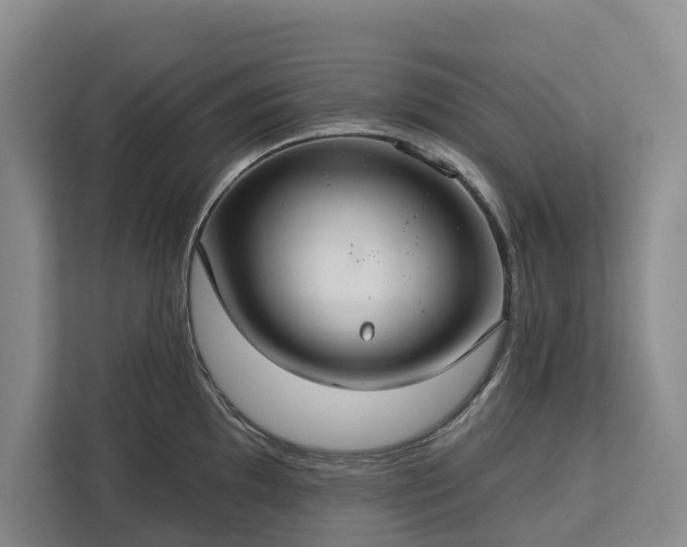 X0000113061097200908281129